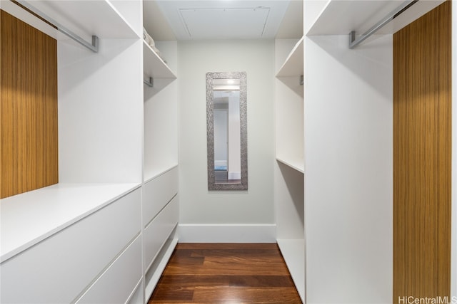 walk in closet featuring dark wood-type flooring