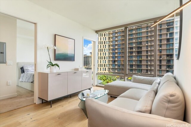 living room featuring light hardwood / wood-style floors and electric panel