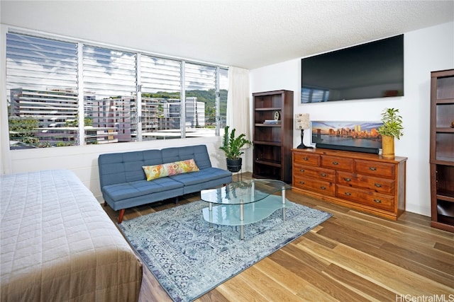 living room featuring a textured ceiling and wood-type flooring