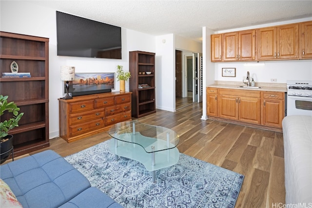 living room with sink, a fireplace, dark hardwood / wood-style floors, and a textured ceiling