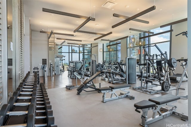 exercise room featuring a wall of windows