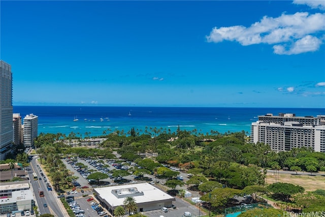 aerial view with a water view