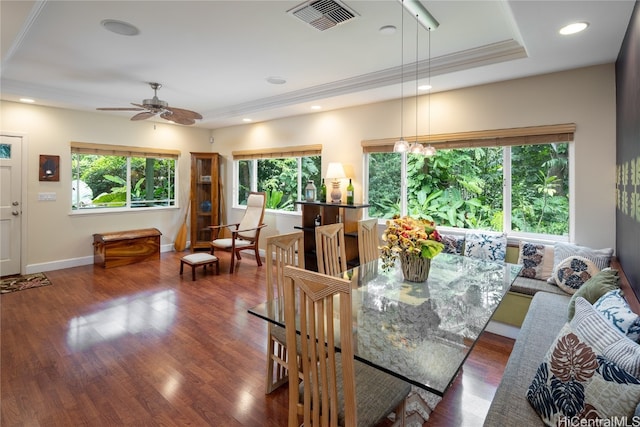 dining area featuring ornamental molding, ceiling fan, a raised ceiling, and dark hardwood / wood-style flooring