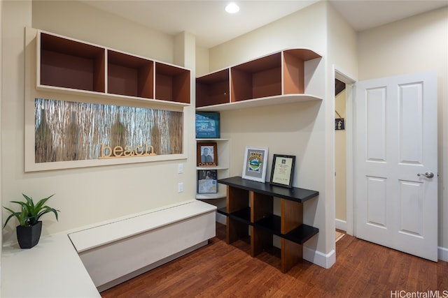 interior space with dark wood-type flooring