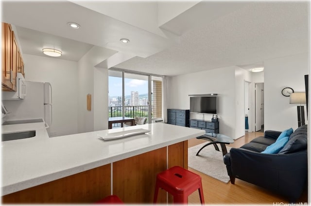 kitchen featuring light hardwood / wood-style floors, a textured ceiling, and kitchen peninsula