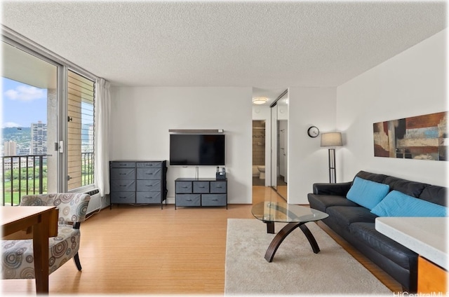 living room with light hardwood / wood-style floors, a textured ceiling, and a healthy amount of sunlight