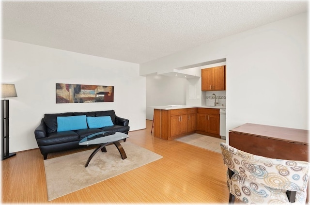 living room with sink, a textured ceiling, and light hardwood / wood-style floors