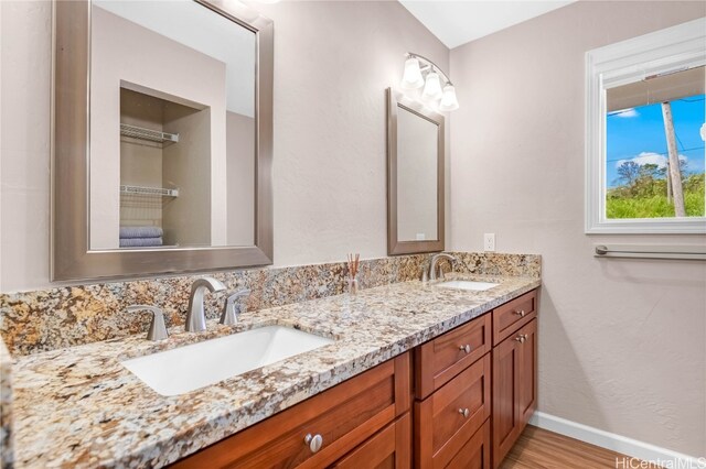 bathroom with vanity and hardwood / wood-style floors