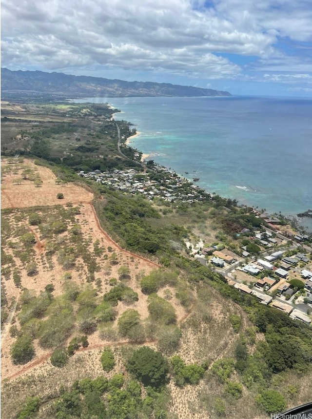 61-006 Kamehameha Hwy, Haleiwa, HI 96712 - photo 7