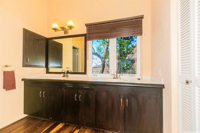 bathroom with double vanity, wood finished floors, a closet, and a sink