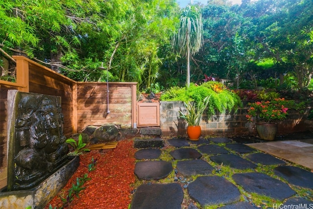 view of yard with a patio