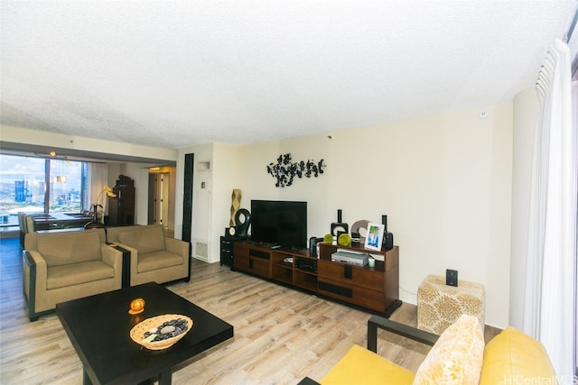 living room with a textured ceiling and light hardwood / wood-style flooring