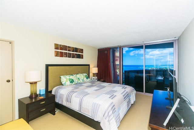 bedroom featuring a textured ceiling, light colored carpet, and access to exterior