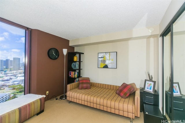 living room featuring carpet flooring and a textured ceiling