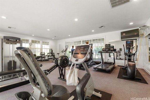 exercise room with plenty of natural light