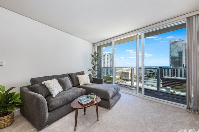 carpeted living room with floor to ceiling windows