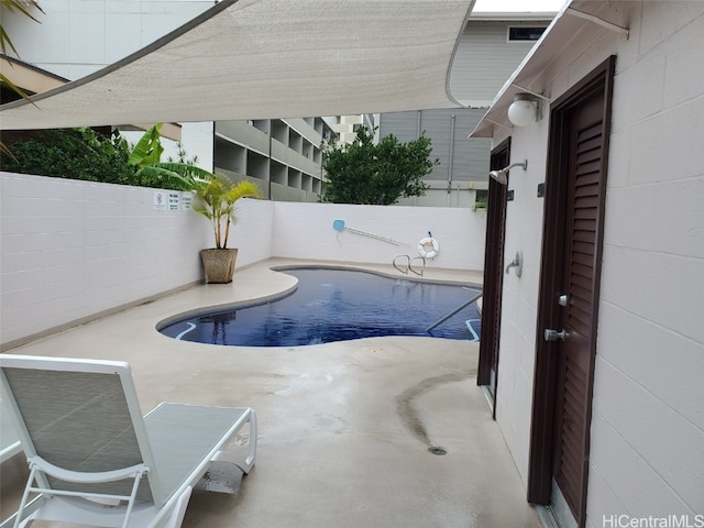 view of swimming pool featuring a patio area