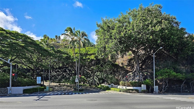 103 Ikena Pl, Honolulu, HI 96821 - photo 16