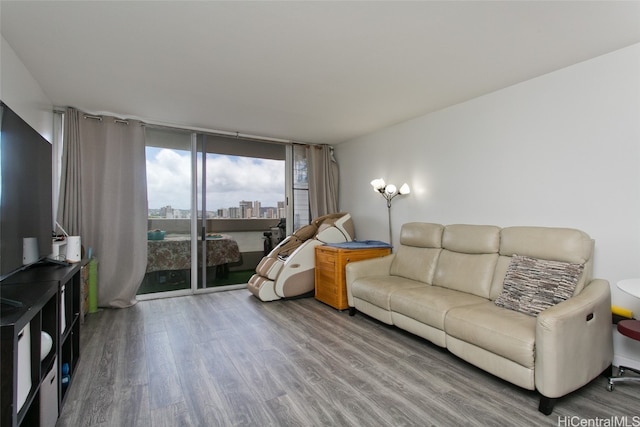 living room featuring expansive windows and wood-type flooring