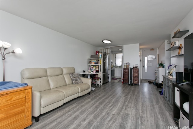 living room with hardwood / wood-style floors