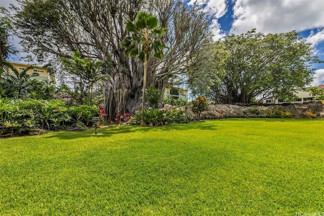 322 Aoloa St Unit Ph-9, Kailua, HI 96734 - view of yard