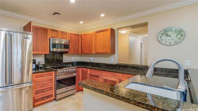 kitchen with crown molding, high quality appliances, sink, and dark stone counters