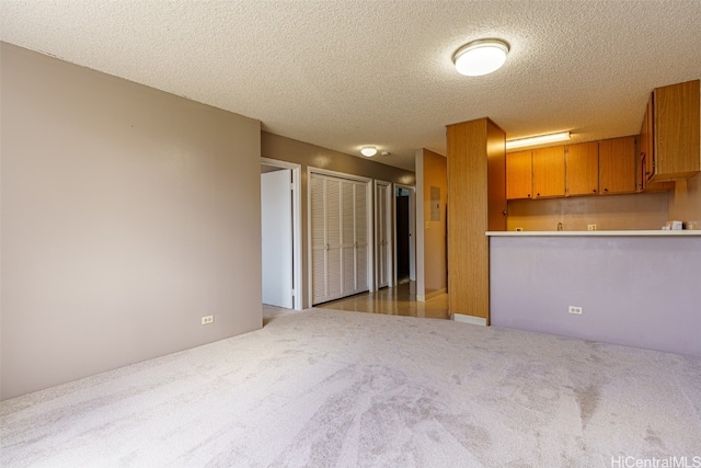 interior space featuring a textured ceiling and light colored carpet