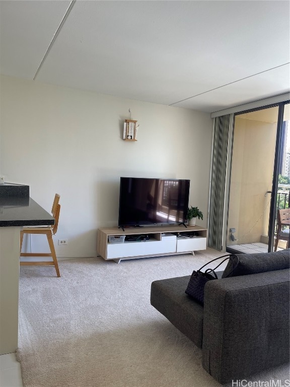 view of carpeted living room