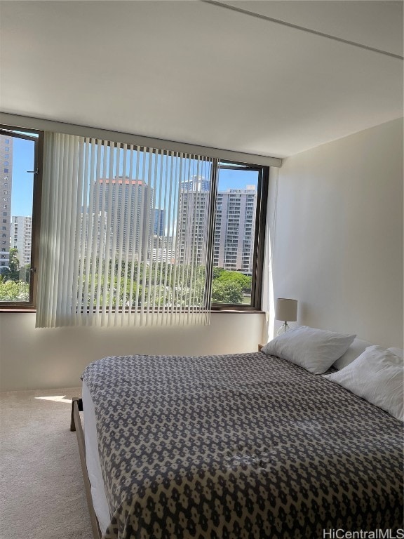 bedroom featuring carpet flooring