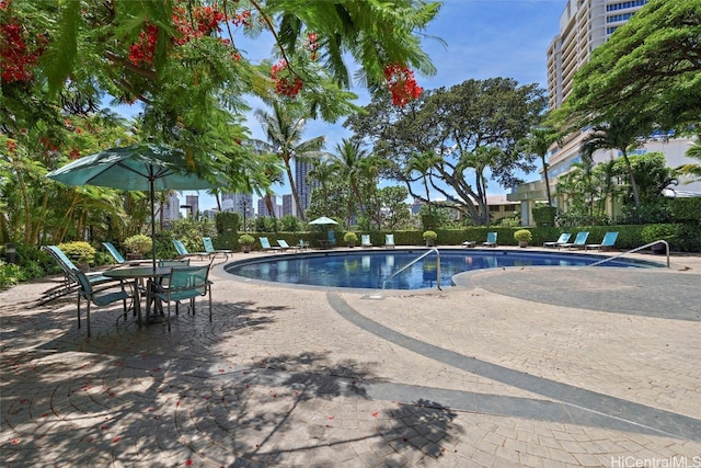 view of pool featuring a patio