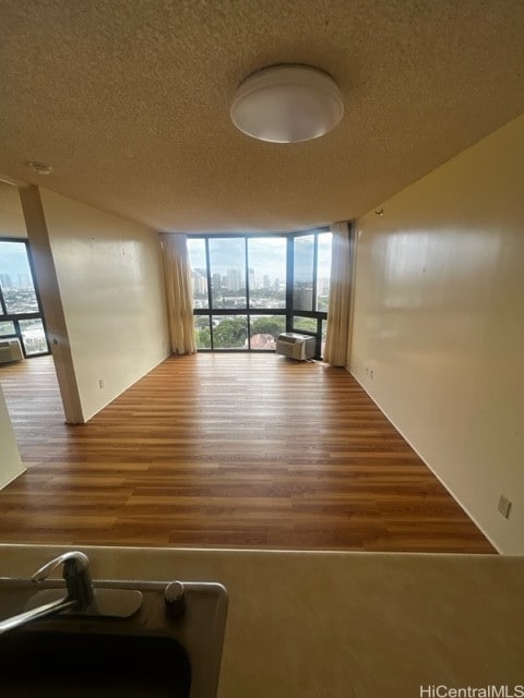 empty room with sink, a wall of windows, wood-type flooring, and plenty of natural light