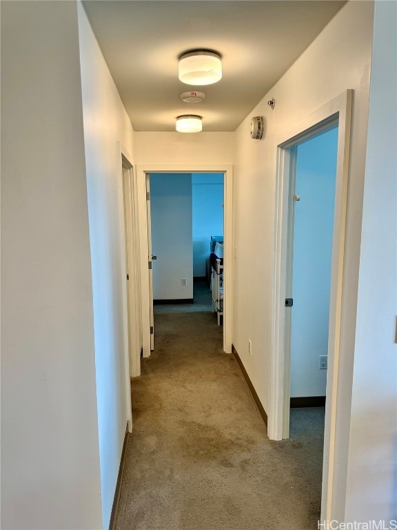 hallway with carpet flooring