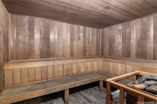 view of sauna featuring hardwood / wood-style flooring