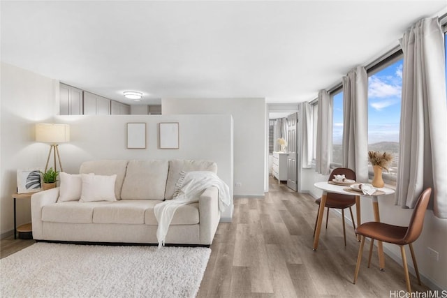 living room with light hardwood / wood-style floors