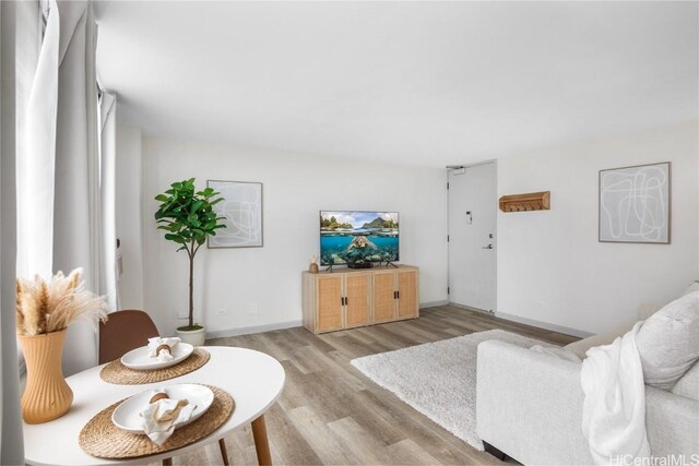 living room featuring light hardwood / wood-style floors