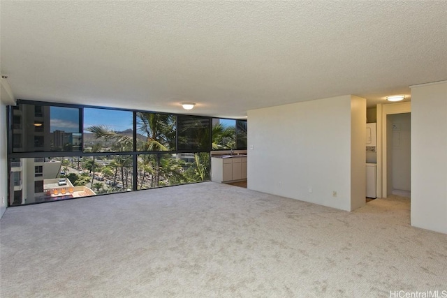 unfurnished living room with sink, light carpet, a textured ceiling, and a wall of windows