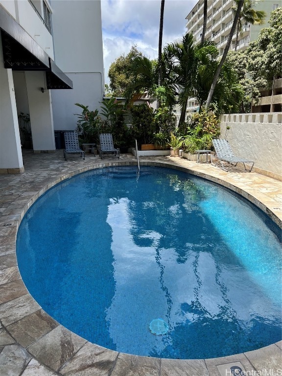 view of pool with a patio