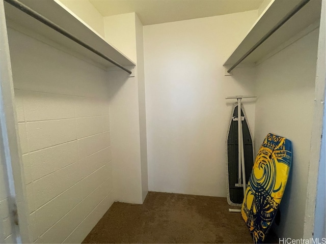 walk in closet with dark colored carpet