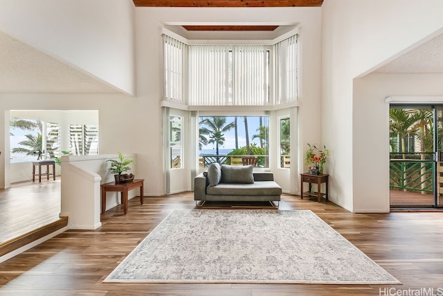 living area featuring a healthy amount of sunlight and hardwood / wood-style flooring