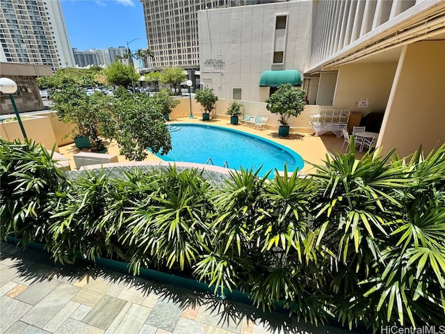 view of swimming pool featuring a patio