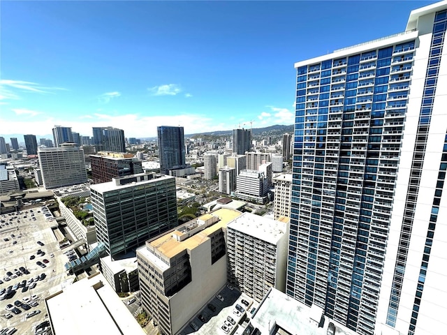 property's view of city