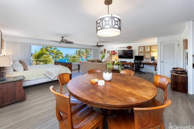 dining room with ceiling fan and light hardwood / wood-style flooring