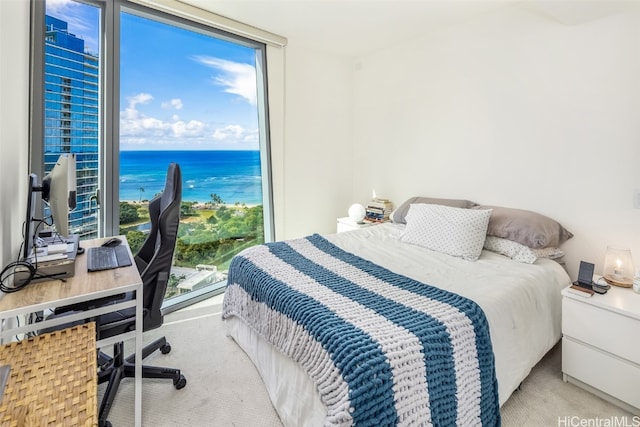 bedroom featuring light carpet and multiple windows