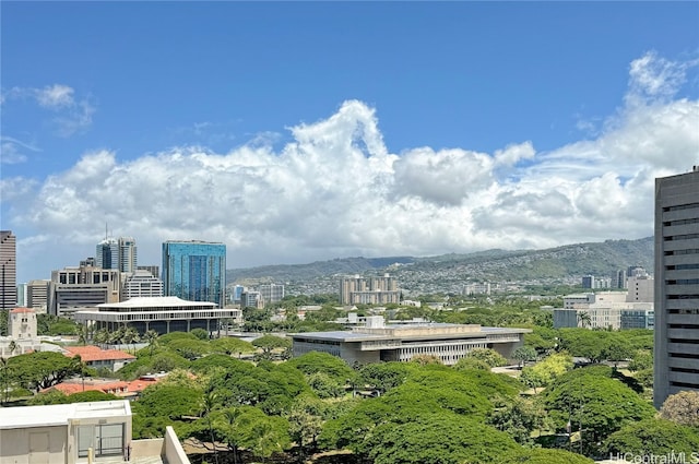 property's view of city with a mountain view