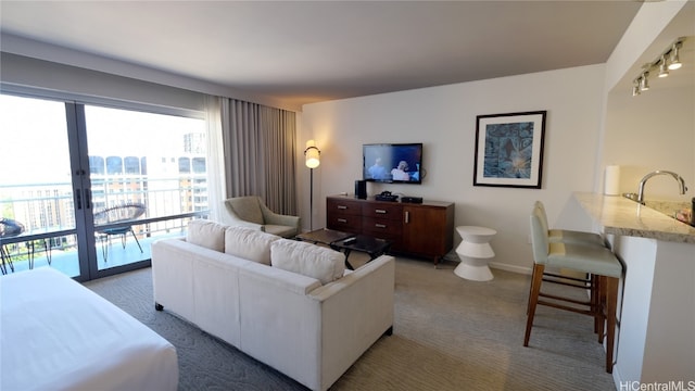 view of carpeted living room