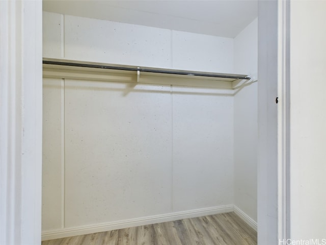 walk in closet with light wood-type flooring