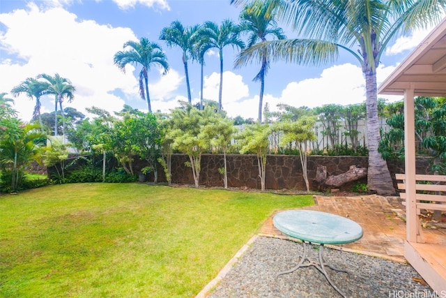 view of yard featuring a patio