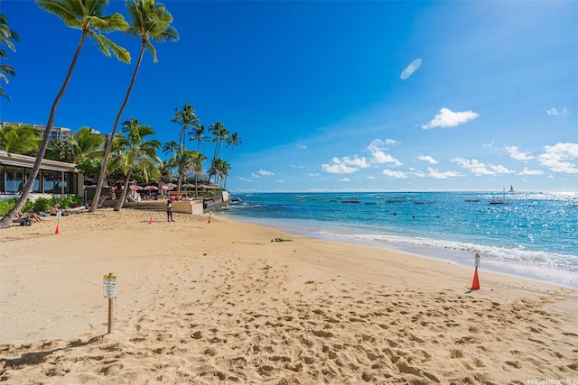 2895 Kalakaua Ave Unit 309, Honolulu, HI 96815 - photo 4