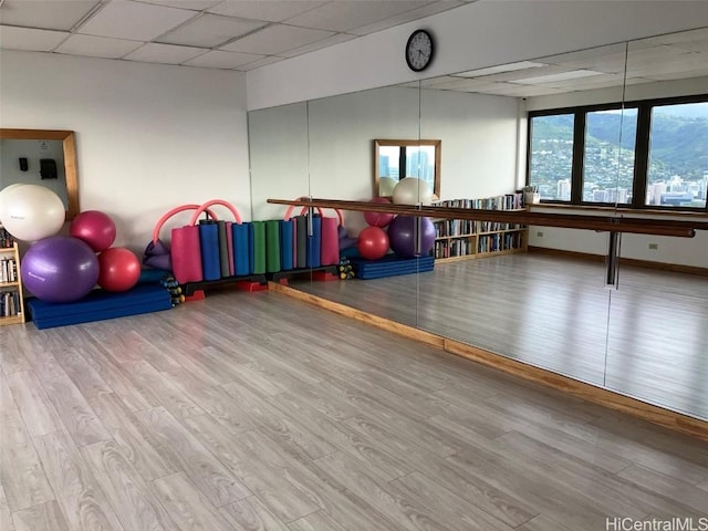 workout room with a drop ceiling and hardwood / wood-style floors