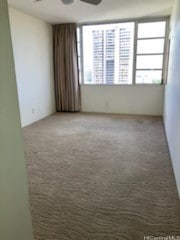 carpeted spare room with ceiling fan